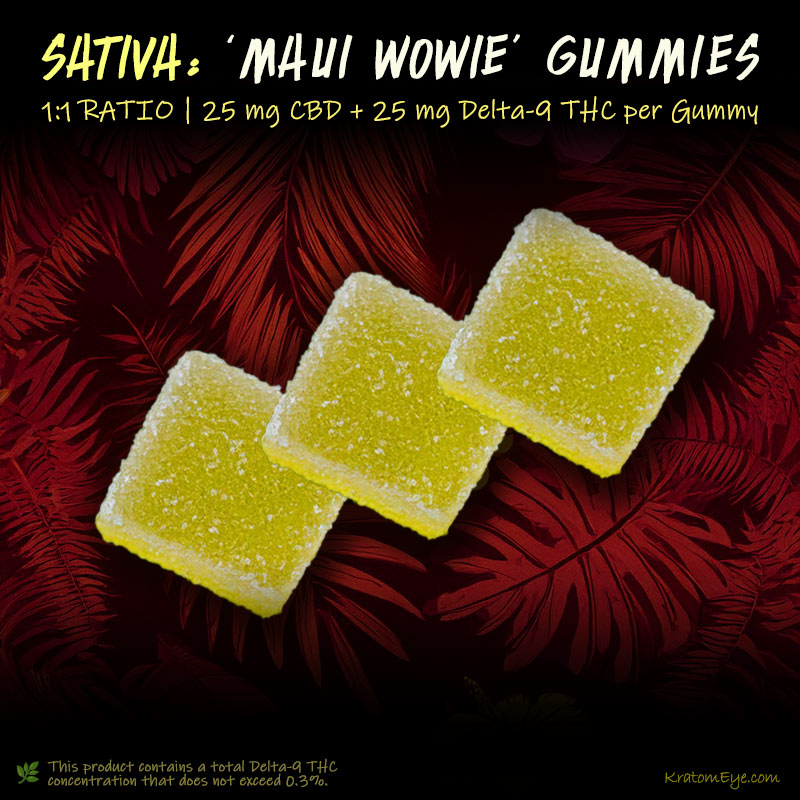 Maui Wowie Gummies (Sativa) | 1:1 Ratio - 25 mg CBD + 25 mg Delta-9 THC